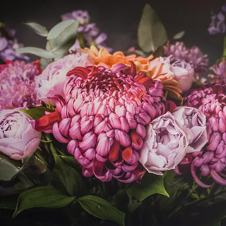 Relax Apartment Durres