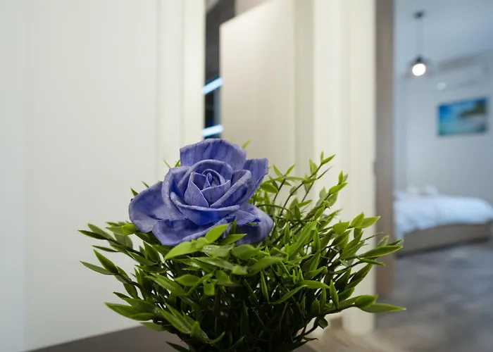 Appartement Relax Durrës